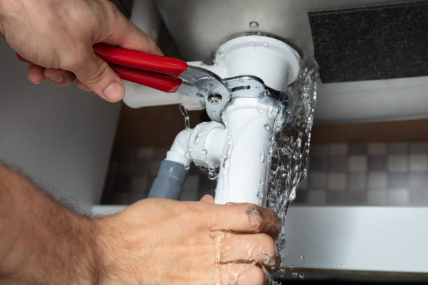 Best Sewage cleanup and water damage restoration  in Fulda, MN