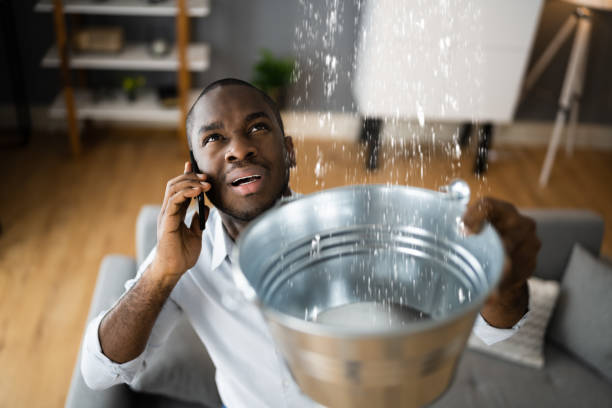 Best Residential water damage restoration  in Fulda, MN