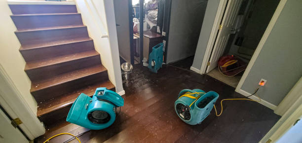 Best 24-hour water damage restoration  in Fulda, MN