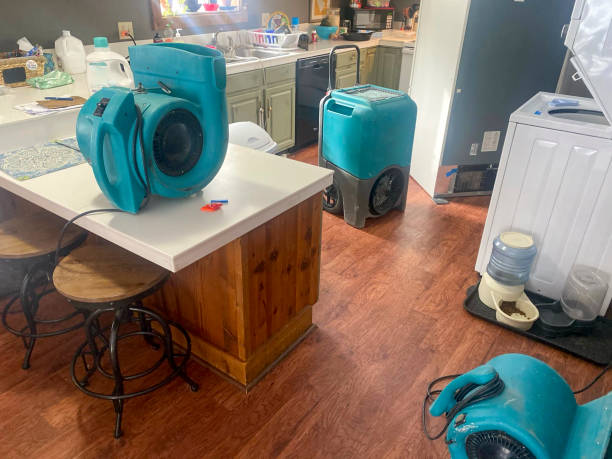  Fulda, MN Water damage restoration Pros