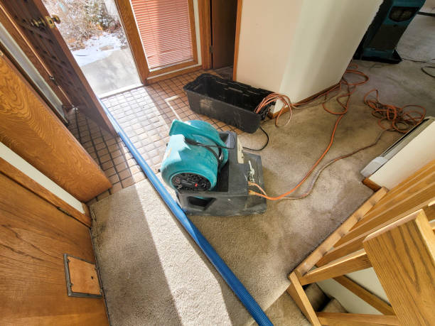 Best Water damage cleanup near me  in Fulda, MN