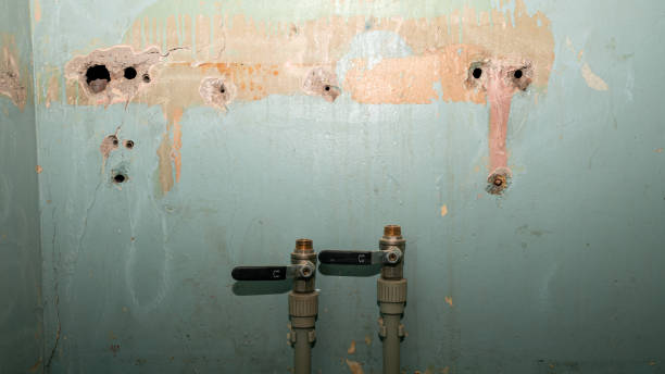Best Residential water damage restoration  in Fulda, MN