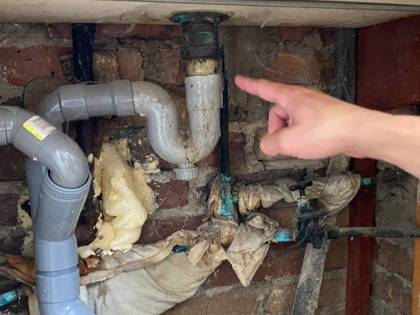Best Water damage contractors near me  in Fulda, MN